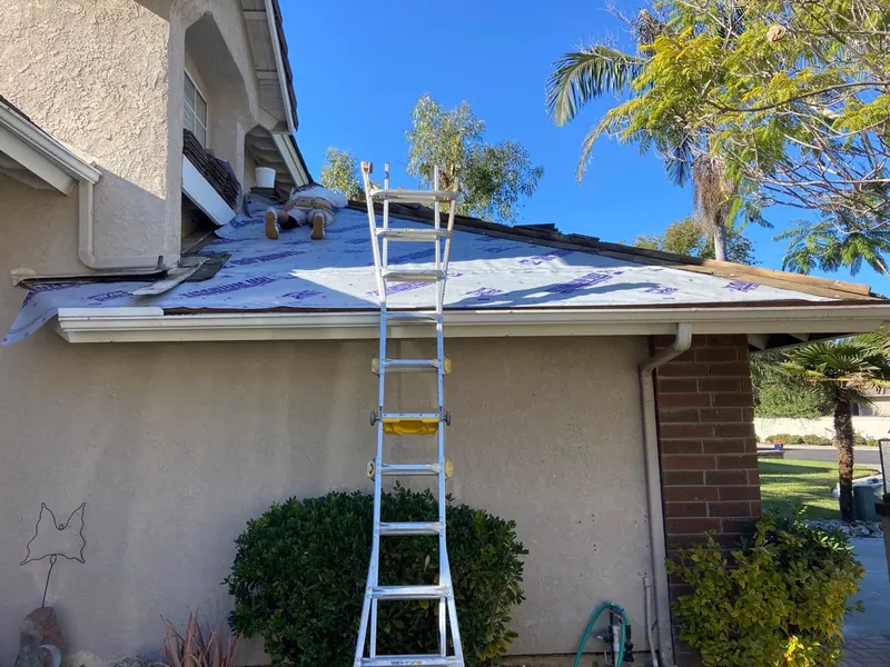 Leak Repairs